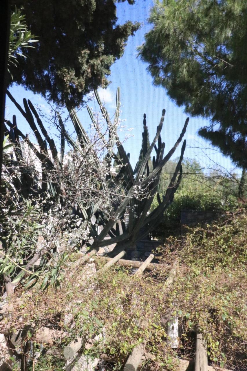 Oda ve Kahvaltı Ha La Bodrum